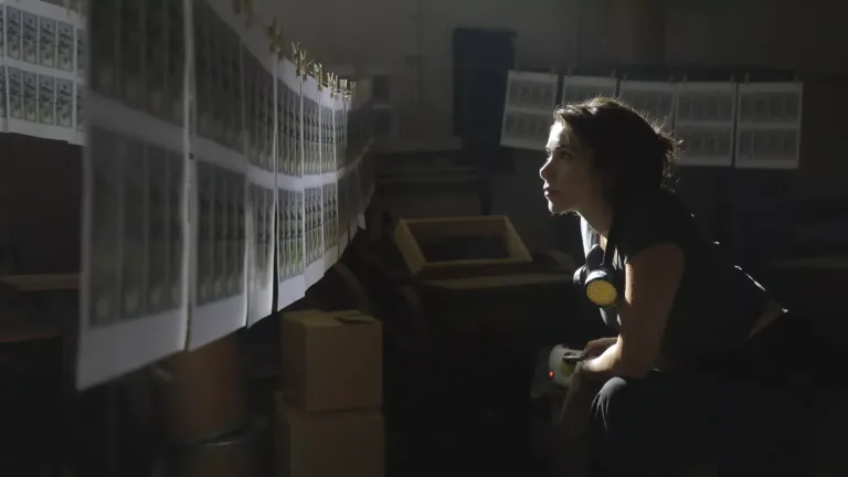 Франклін (Ліван) 2 сезон дата виходу